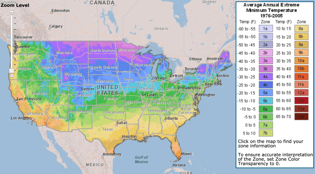Here Is When To Plant 8 Of The Most Popular Vegetables