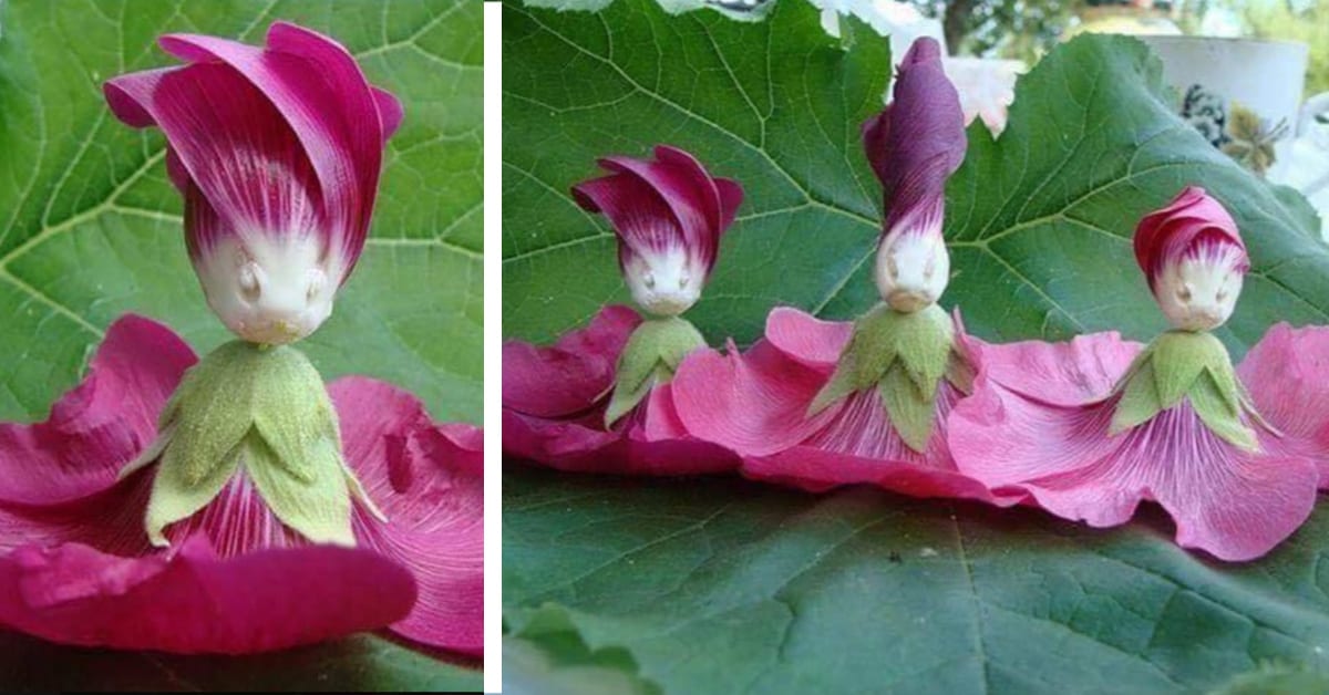 People Are Turning These Flowers Into Little Dolls and I Am Making Some Now