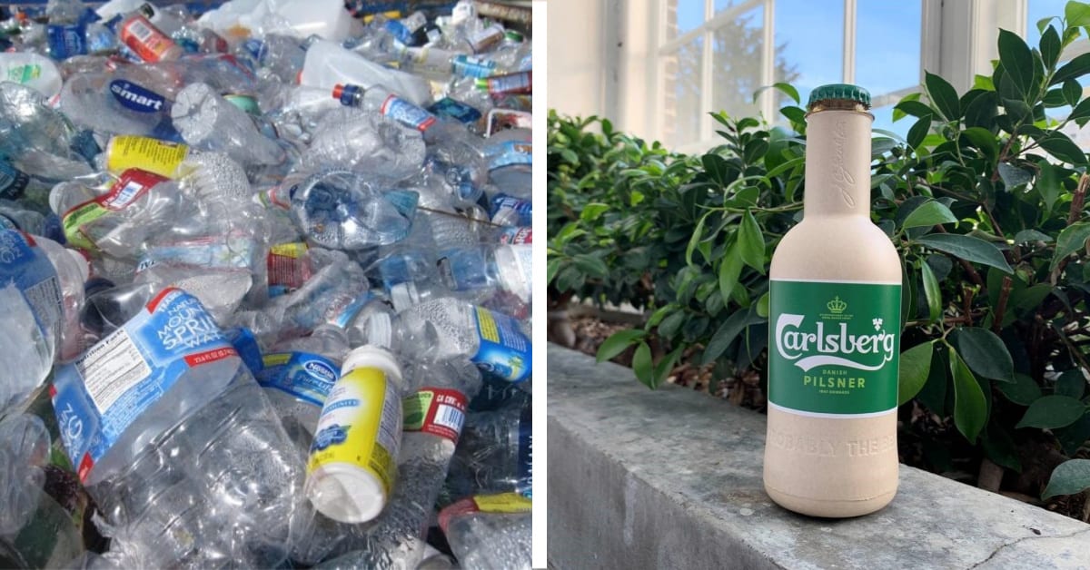 Coca-Cola And Carlsberg Are Teaming Up To Offer A Plant-Based Bottle That  Can Degrade In A Year