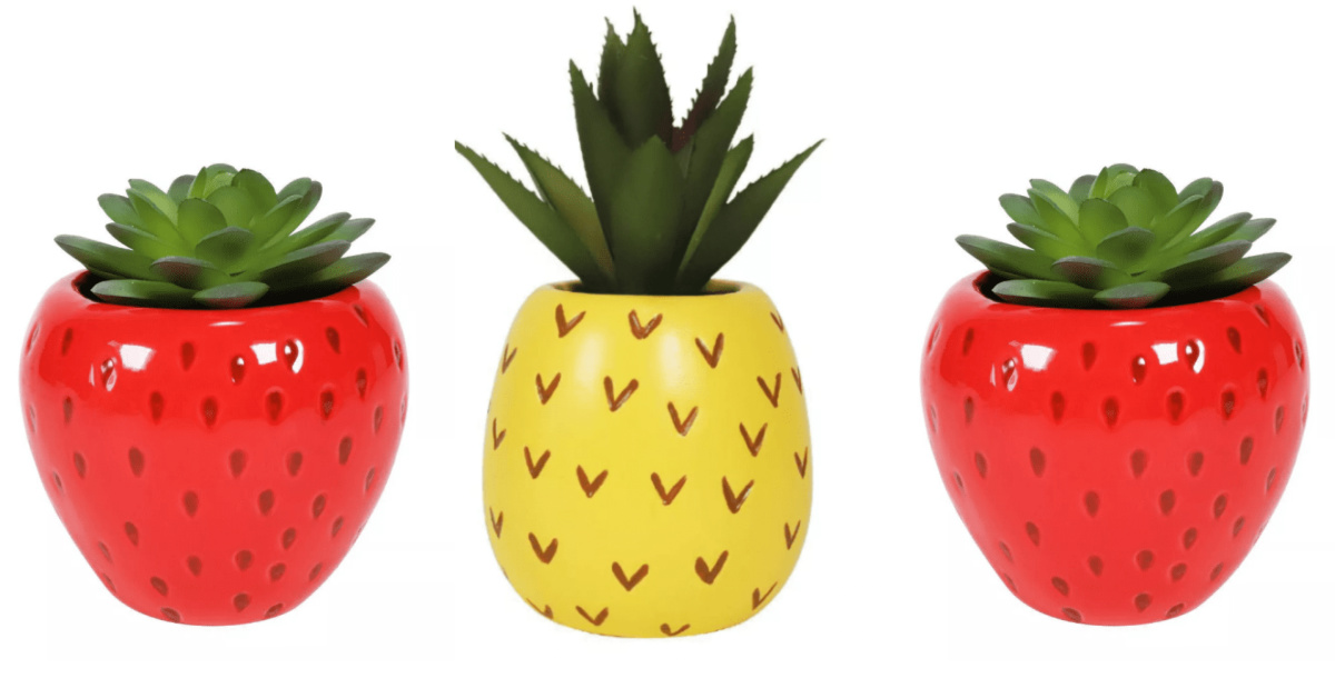 Target Is Selling $5 Succulent Plants and I Call Dibs On The Pineapple