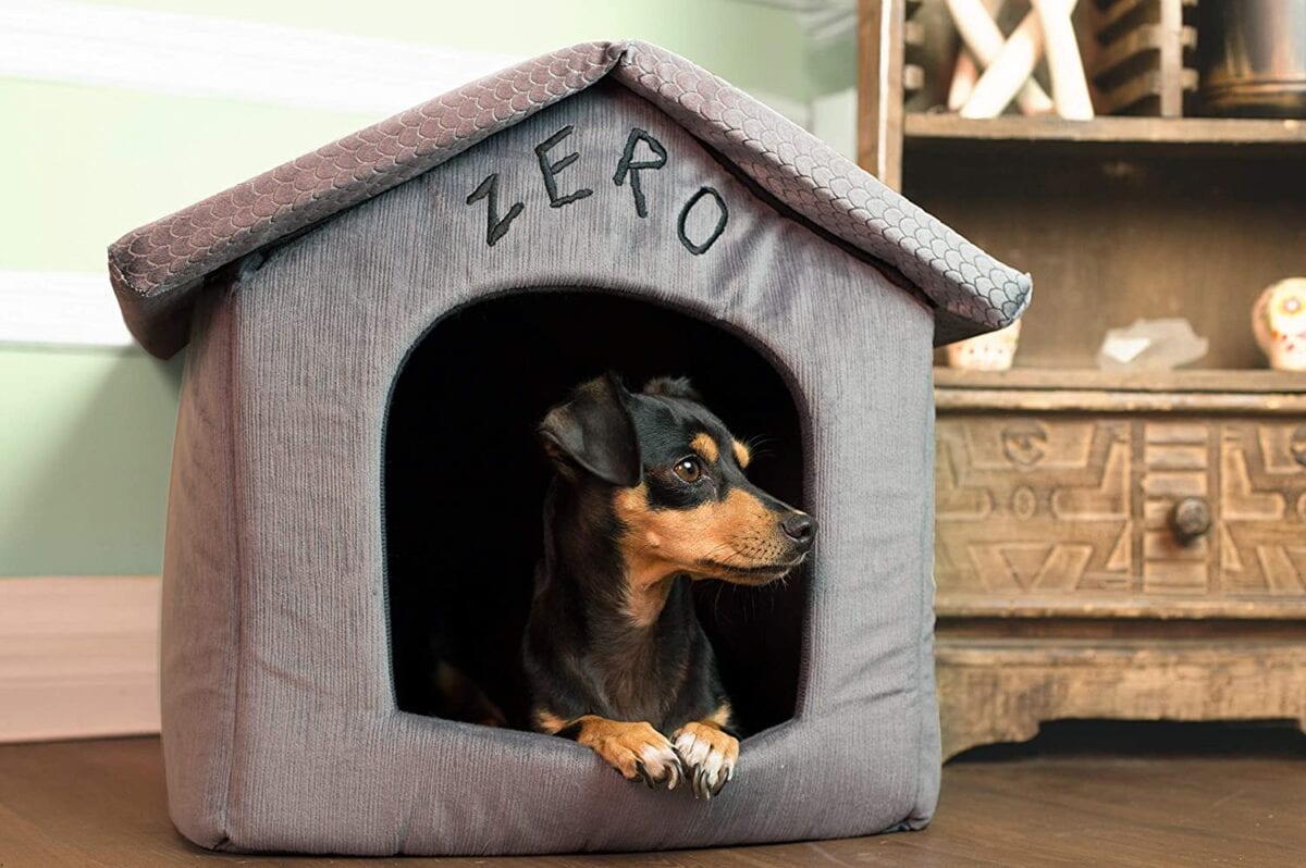 The Nightmare Before Christmas Pet Products Exist and It Is All Simply Meant To Be Mine