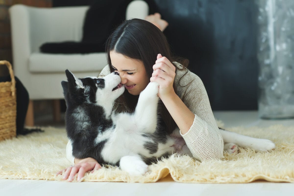 The FDA Says People Can Infect Their Pets With The Coronavirus. Here’s What We Know.