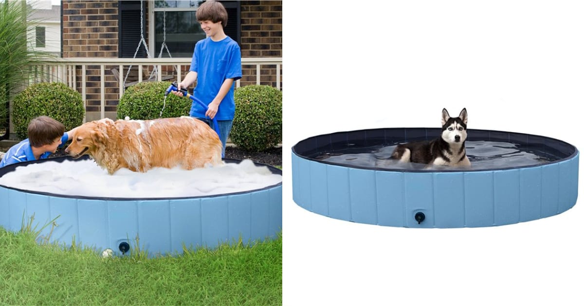 Walmart Has A Portable Swimming Pool For Your Dog That Doubles As A Wash Tub