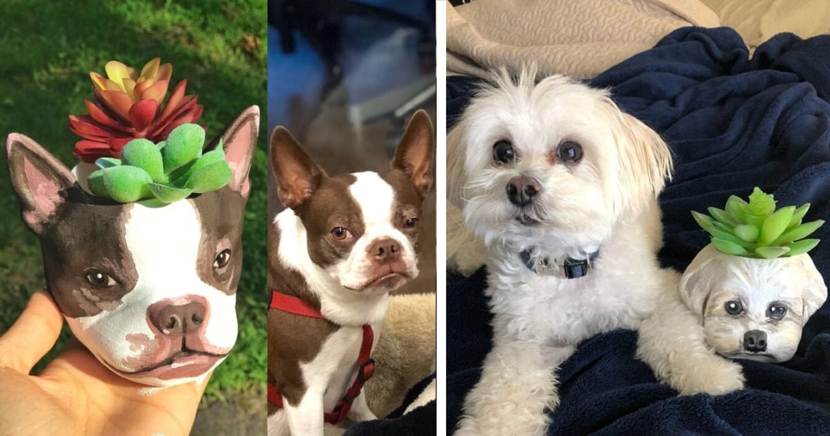 You Can Get A Custom Succulent Planter That Looks Exactly Like Your Dog