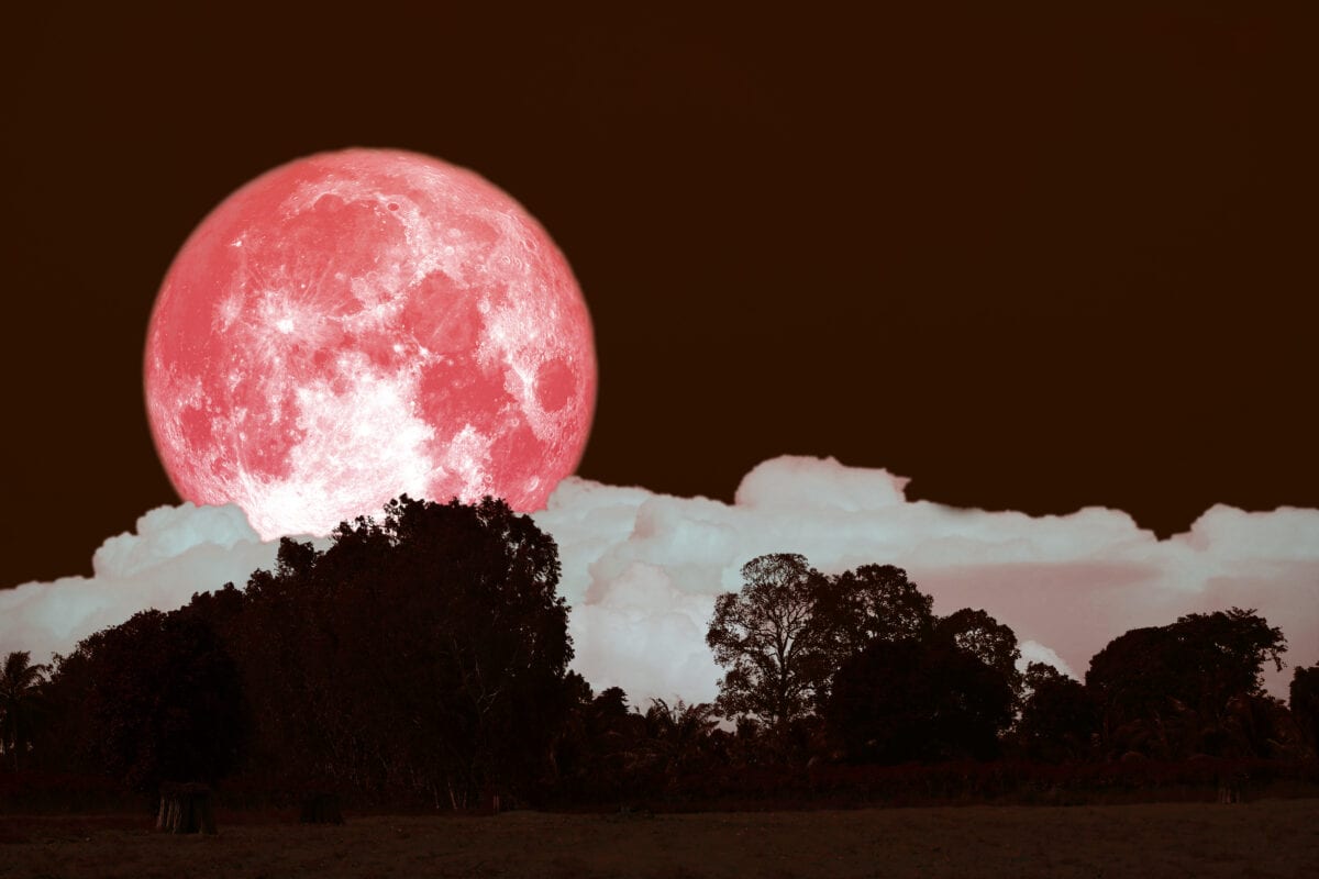 There Will Be A Full ‘Strawberry Moon’ Tonight. Here’s How You Can Watch It.