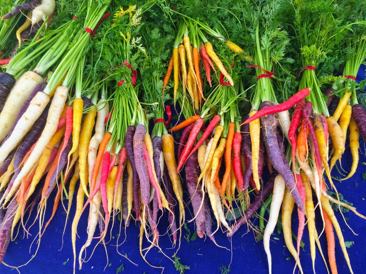 You Can Plant Seeds That Grow Rainbow Carrots and I Need Some