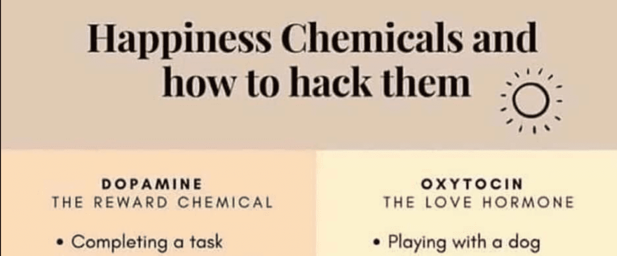 Here’s A List Of Ways You Can Increase Those Happiness Chemicals In Your Brain