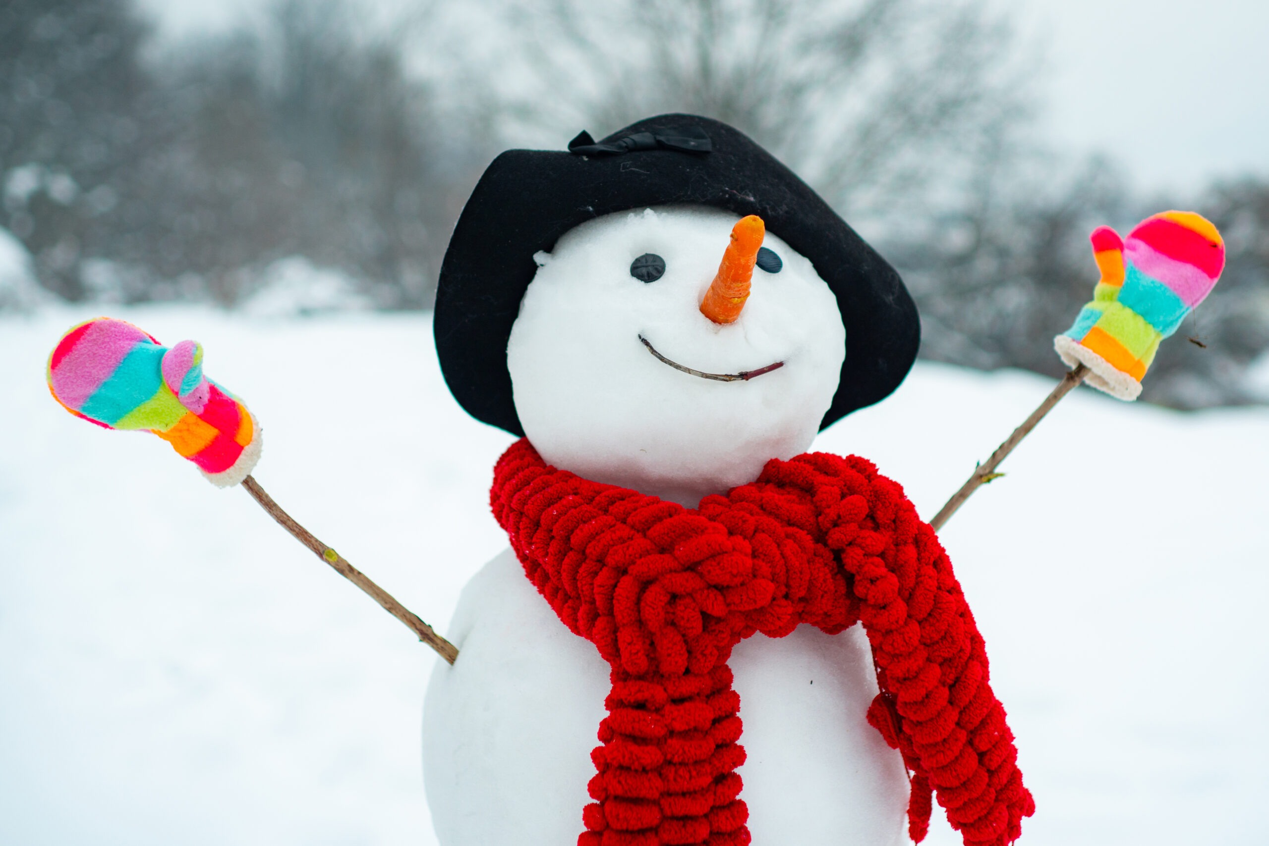 The Old Farmer’s Almanac Is Predicting We Will Have Less Snow Storms This Winter