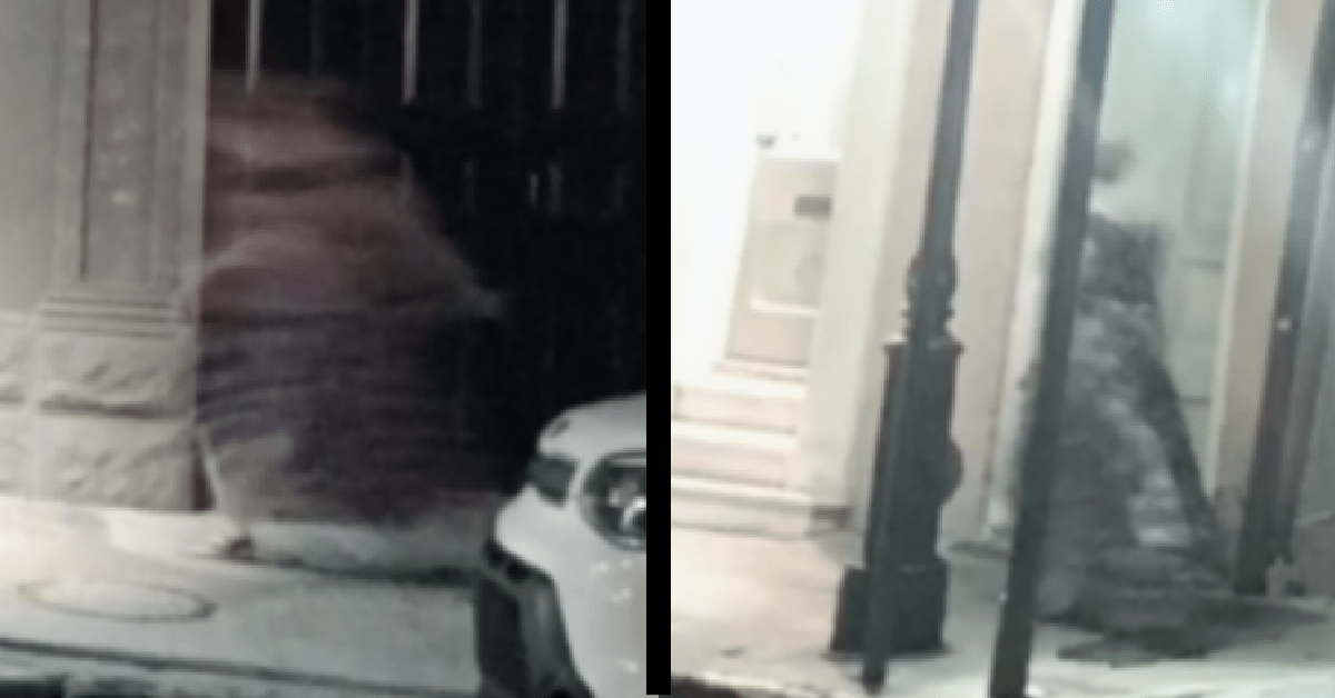 This Woman Caught Pictures Of Ghosts On Her Phone And I’m Done