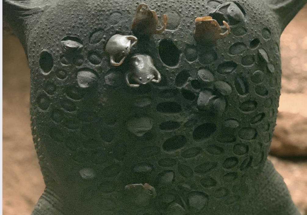The Way Surinam Toads Give Birth Is What Nightmare Are Made Of