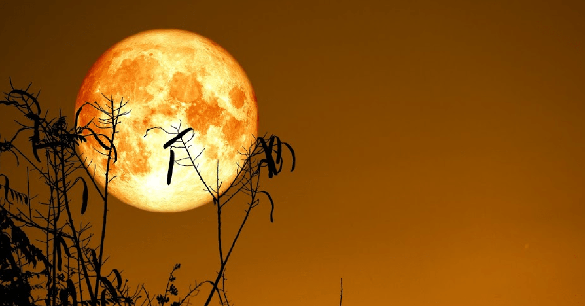 You’ll Be Able To See Octobers Full Harvest Moon and Mars Tonight