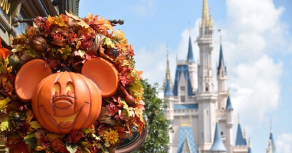 Disney World Tips You Need To Know For Your Next Vacation