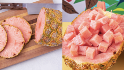 Pink Pineapple Exists and It’s The Prettiest Fruit I’ve Ever Seen
