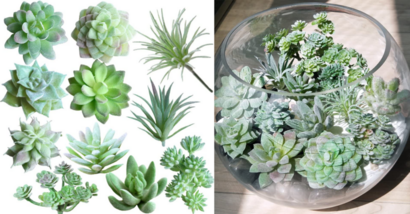 You Can Get A Pack of Mini Plastic Succulents For The Person That Can’t Even Keep Succulents Alive