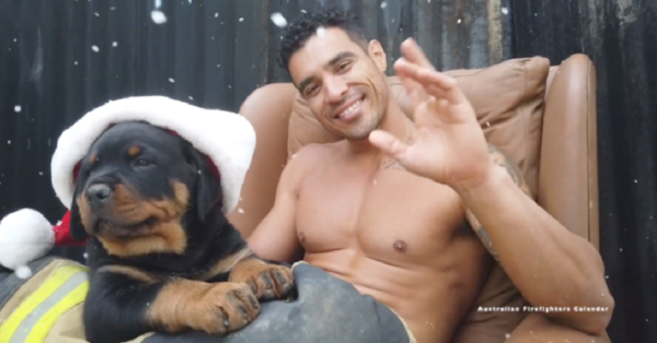 You Can Watch Shirtless Firefighters Cuddling Puppies For Charity and You Can Thank Me Later
