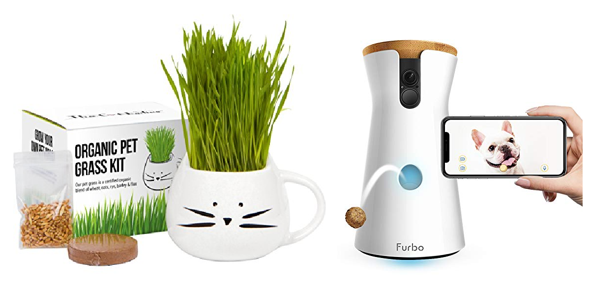 20 Gifts To Give Your Pet This Christmas