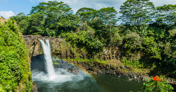 Hawaii Is Offering Free Trips To People Who Want To Work Virtually From The State
