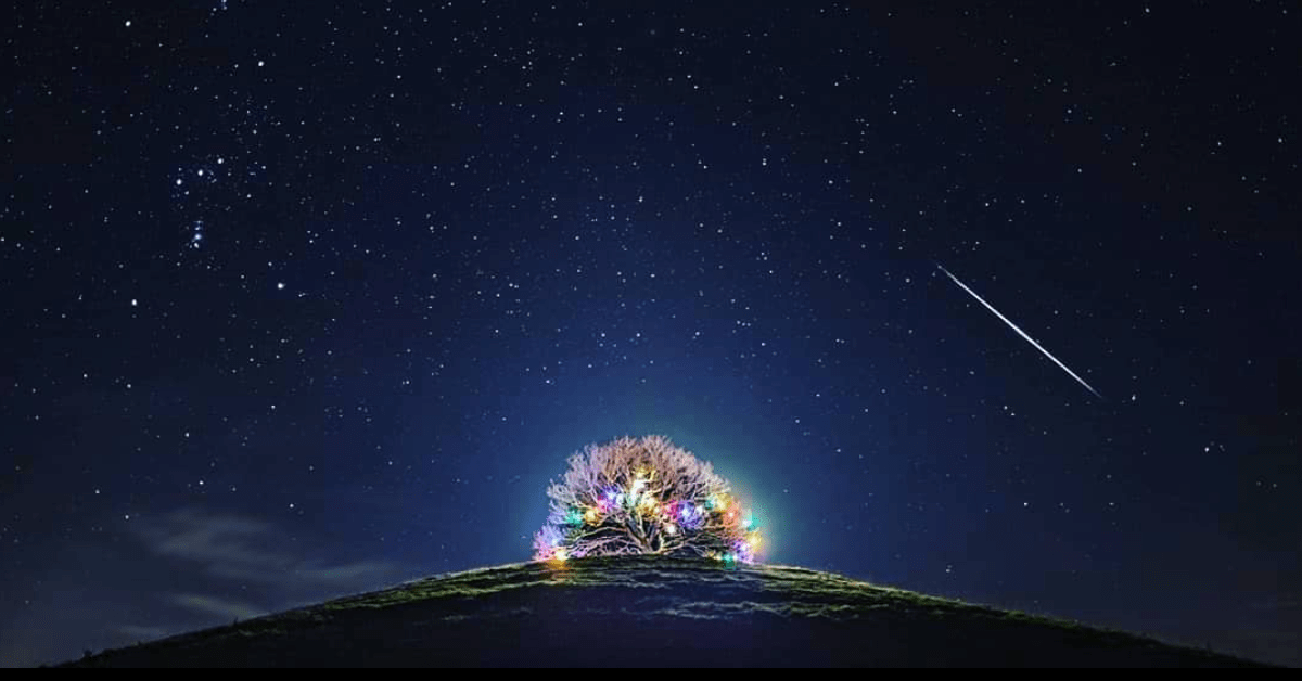 The Geminids Meteor Shower Will Peak Soon, Here’s How You Can Watch!