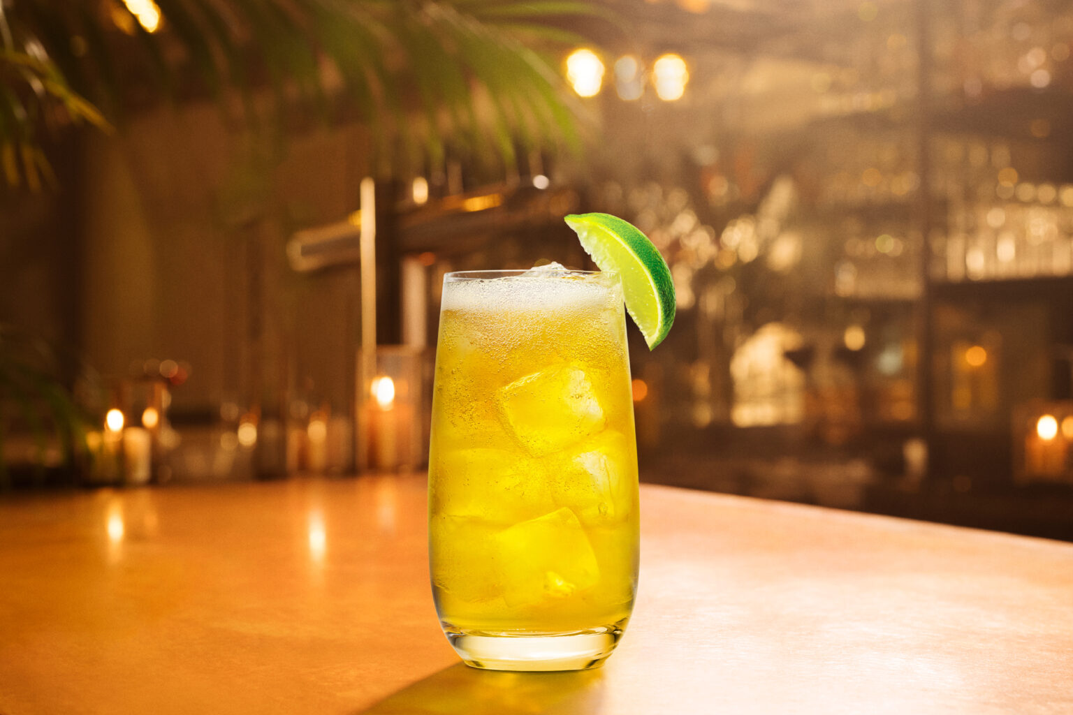 Make A Spiced & Ginger Cocktail