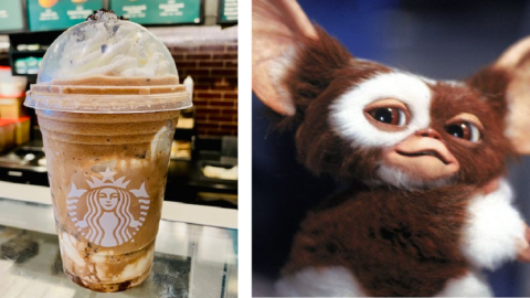 You Can Get A Gizmo Frappuccino From Starbucks That Will Send You Whirling