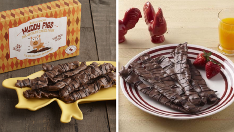 Chocolate Covered Bacon Exists And You Need To Try It