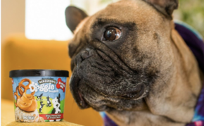 Ben & Jerry’s Now Makes Ice Cream for Dogs and We Are Here For It