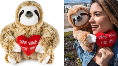 You Can Get A Plush Sloth Complete With A Valentine’s Day Message We All Need To Hear