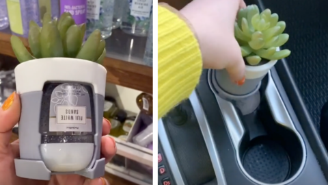 Bath & Body Works Is Selling A Succulent PocketBac Holder That Fits In The Cup Holder of Your Car