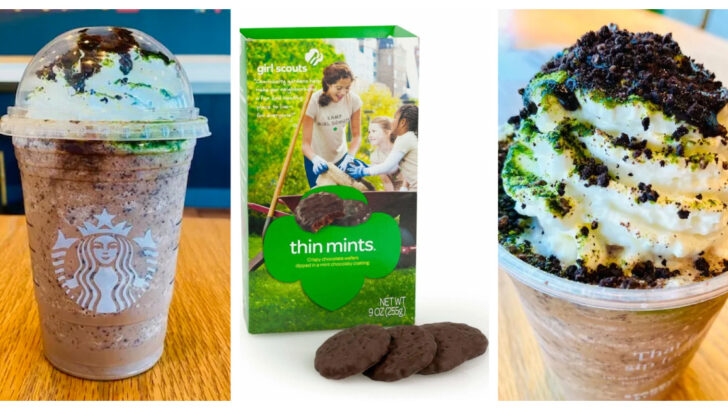 Move Over Girl Scouts, This Starbucks Thin Mints Frappuccino Is My New Favorite Minty Treat