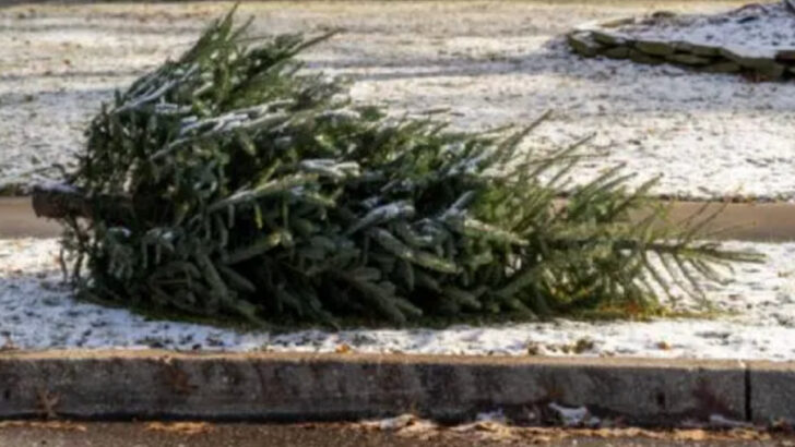 Did You Know That It’s Actually Tradition To Leave Your Christmas Tree Up Until January 6? Here’s Why.