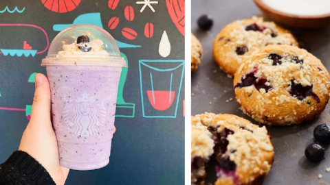You Can Get A Starbucks Blueberry Muffin Frappuccino That Is Breakfast In A Cup