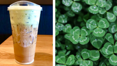 This Clover Cold Brew From Starbucks Will Have You Feeling Lucky This Season