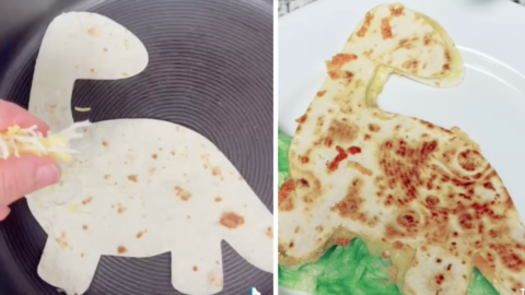 People Are Using Their Cricut Machines To Cut Shaped Quesadillas and It Is Pure Genius