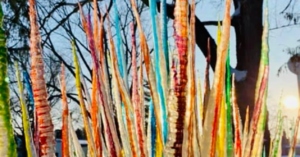 ‘Painted Icicles’ Are The Hot New Home Decor Trend and It’s Basically Pure Magic