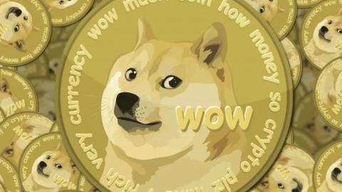 DOGECOIN Just Hit An All Time High Thanks To Snoop Dogg and Elon Musk
