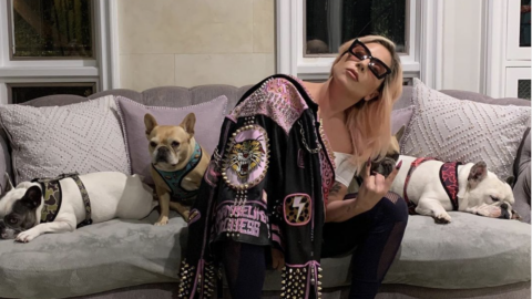 Lady Gaga’s Dogs Have Been Stolen After Her Dog Walker Was Shot