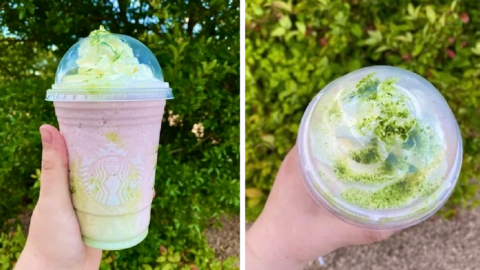 This Starbucks Spring Fling Frappuccino Will Have You Dreaming Of Warmer Days