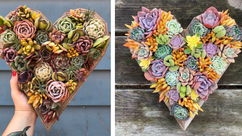 Succulent Heart Planters Are The Perfect Way To Express Your Love To That Special Someone