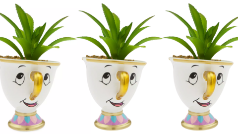 You Can Get A Chip Succulent For The Person Who Loves ‘Beauty And The Beast’