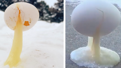 It’s So Cold In Some Places, People Are Showing They Can Freeze An Egg Outside Almost Immediately