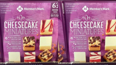 Sam’s Club Is Selling Miniature Cheesecake Pieces and I’m On My Way