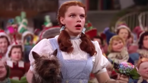 ‘The Wizard of Oz’ Is Getting A Remake And I Don’t Understand Why