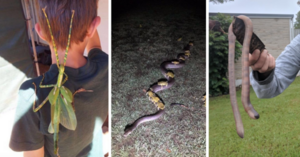 20 Pictures That Show Why I’m Never Going To Australia