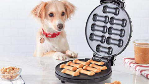 This Gadget Let’s You Make Healthy Dog Treats At Home So Your Furry Friend Always Has The Perfect Treat