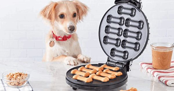 This Gadget Let’s You Make Healthy Dog Treats At Home So Your Furry Friend Always Has The Perfect Treat