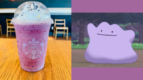You Can Get A Ditto Frappuccino From Starbucks To Evolve Into Whatever You Like!