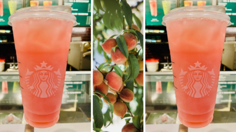 You Can Get A Fuzzy Peach Refresher From Starbucks To Give You All The Spring Vibes