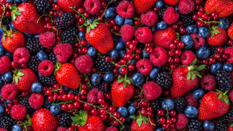 Nature’s Cereal Is The Hottest New TikTok Food and It’s So Good Even Lizzo Is Obsessed