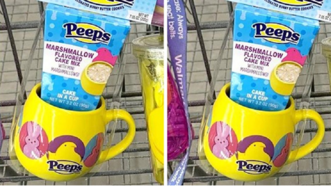 The New Peeps Cake In A Cup Is The Perfect Easter Treat For The Person That Loves Marshmallows