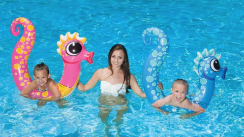 You Can Get Adorable Pool Noodles That Look Like Seahorses